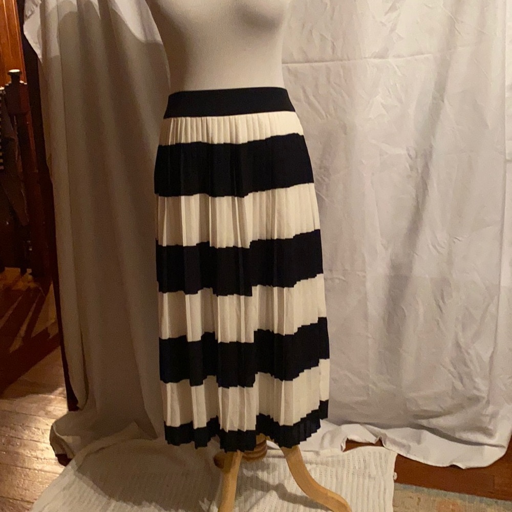 Navy & white skirt